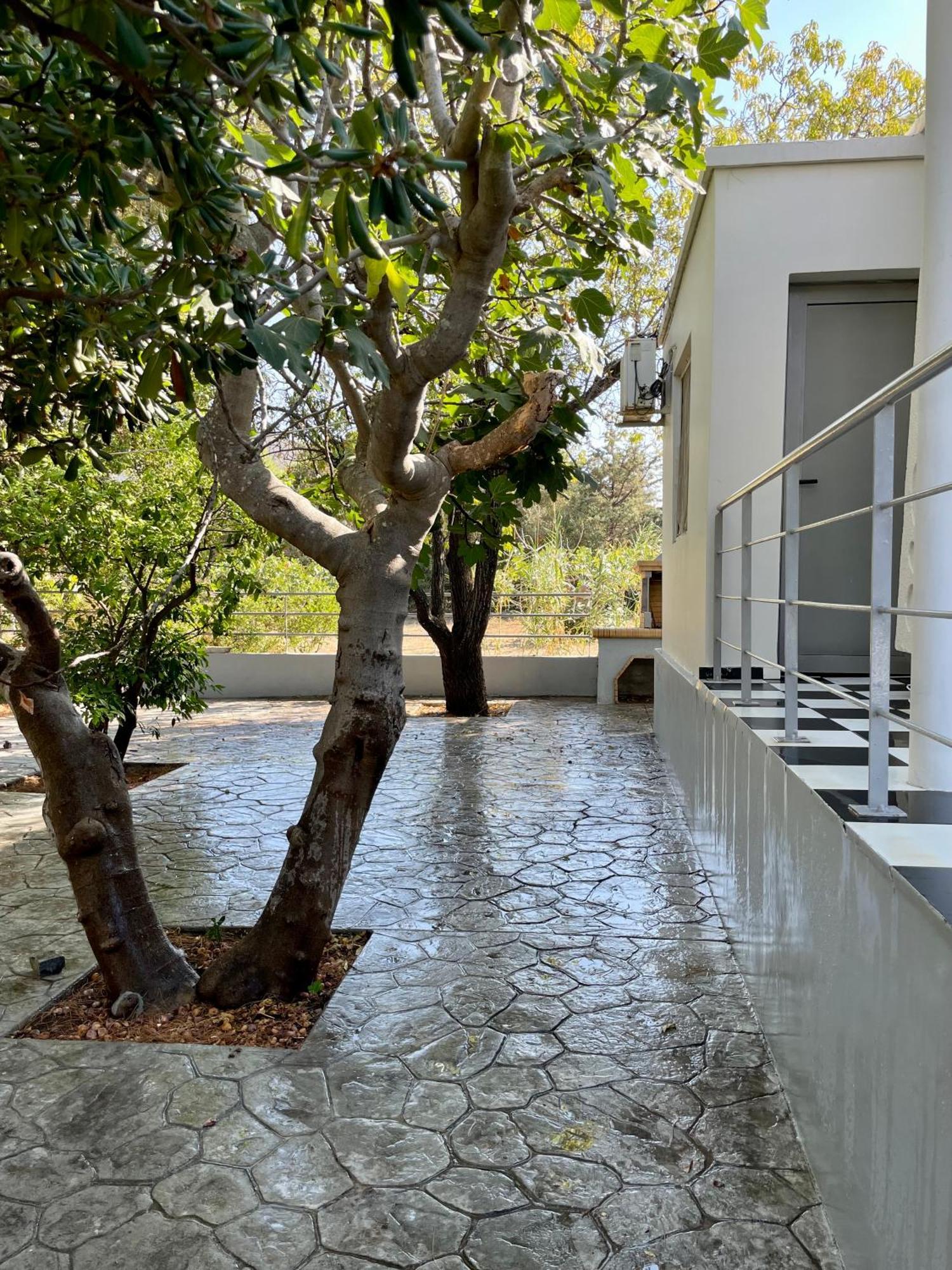 Architect'S Summer House By The Beach Pórto Ráfti 외부 사진
